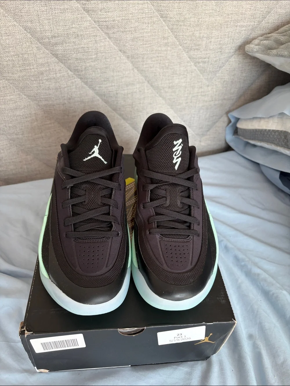 Jordan Zion 4